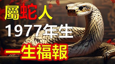 1977年屬蛇|生肖蛇: 性格，愛情，2024運勢，生肖1989，2001，2013